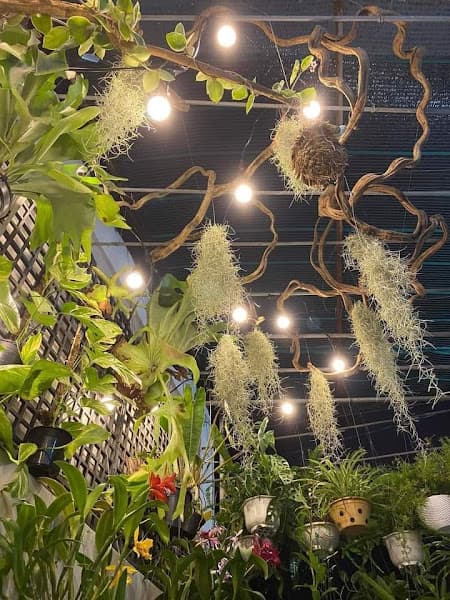 Hình ảnh Karaoke Cao Nguyên - 2