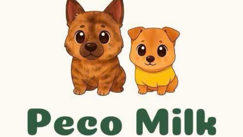 Hình ảnh Peco Milk Q7 - Matcha, Coffee, Cacao - 4