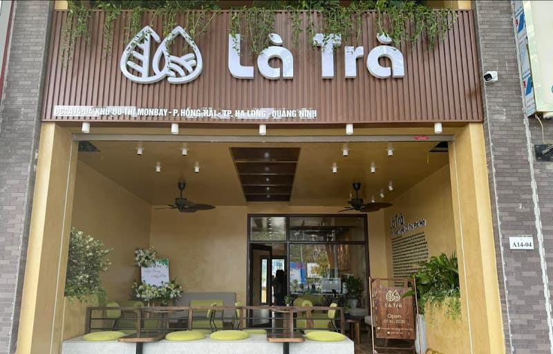 Là Trà Hòn Gai - Trà Shan Tuyết Cổ Thụ Pha Máy