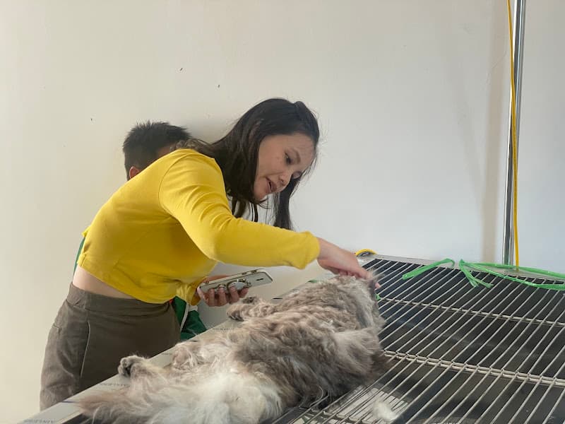 Hình ảnh Bệnh Viện Thú Y Huế - Hue Pet - 3