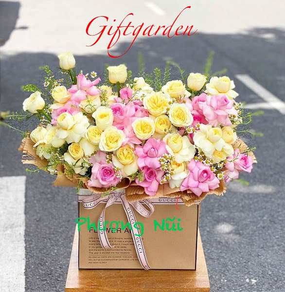 Hình ảnh Phượng Nũi - 3