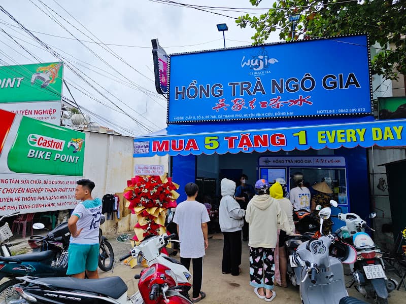 Ảnh bìa Hồng trà Ngô Gia Vĩnh Cửu H308