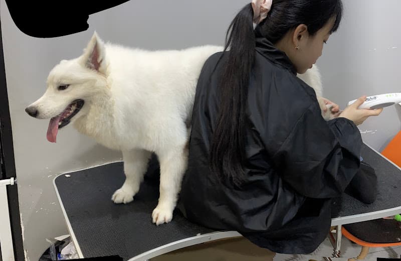 Hình ảnh Day Grooming - Petshop & Cửa Hàng Spa, Cắt Tỉa Lông Chó Mèo Quận 12 - 2