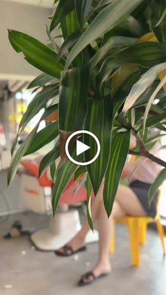 Hình ảnh Cắt tóc nam Quyền baber - 2