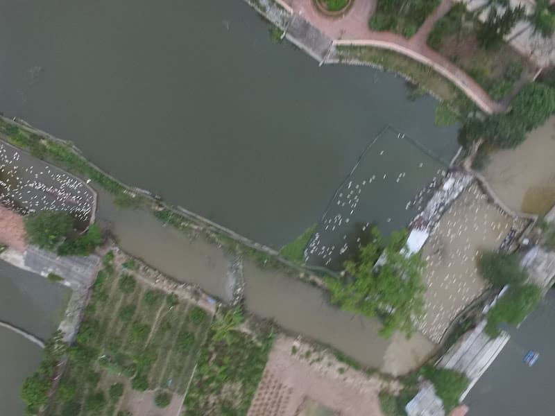 Hình ảnh Di Tích Lịch Sử Cây Đa Sài Thị - 2