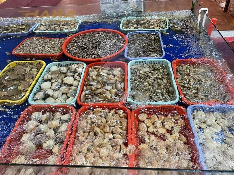 Hình ảnh Hải Sản Cô Lệ - Không ngon không tính Tiền - 4
