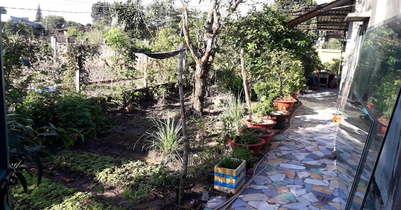 Hình ảnh Trại Chó Minh Hiếu - 2