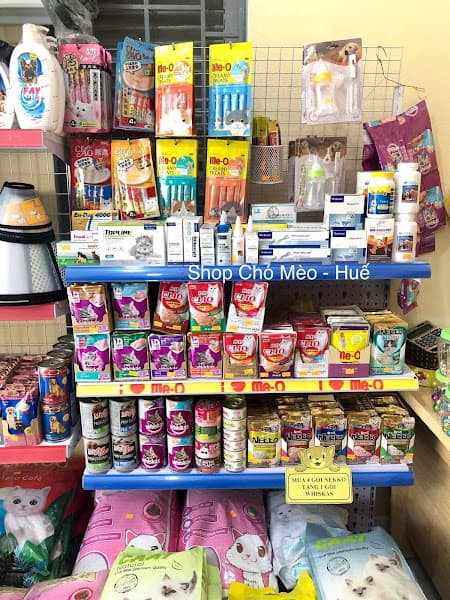 Hình ảnh Shop Chó Mèo - Huế (cơ sở 4) - 4