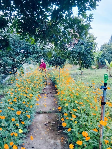 Hình ảnh Vườn Vinh Nguyệt - 5