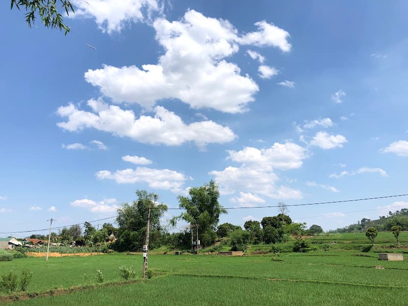 Ảnh bìa Nhạc Sống Sơn La