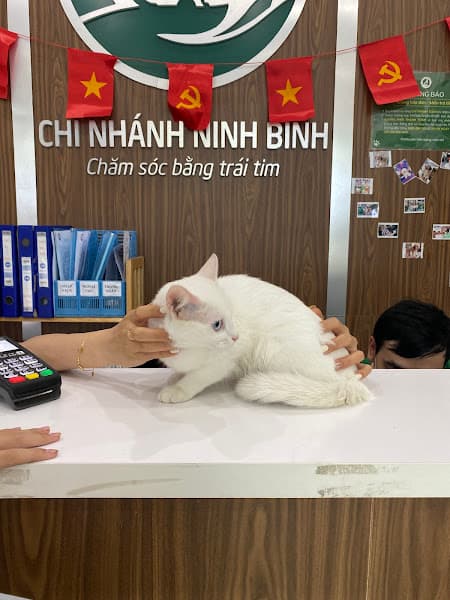 Hình ảnh Bệnh viện thú y PetHealth Ninh Bình - 3