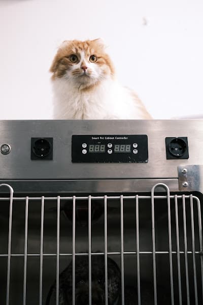 Hình ảnh Bệnh Viện Thú Y Bắc Ninh Helios - 3