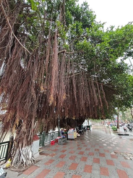 Hình ảnh Phố đi bộ Hải Phòng - 5