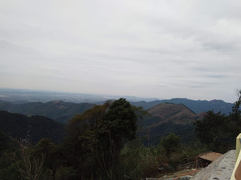 Hình ảnh Khu di tích Nhà Trần - 4