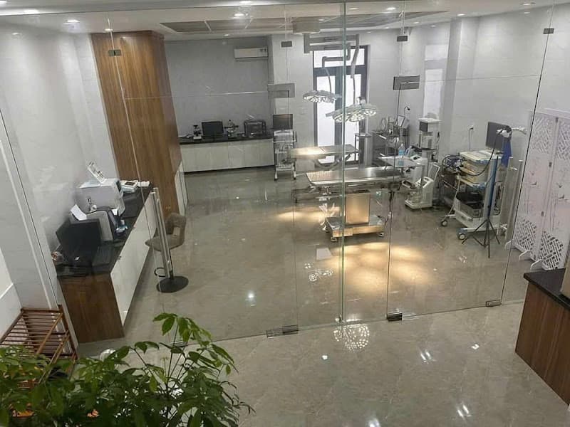 Hình ảnh THANH XUAN PET HOSPITAL - Bệnh viện thú cưng THANH XUÂN - 6