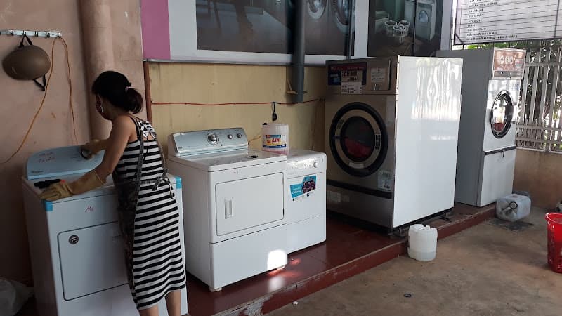 Hình ảnh Giặt sấy 62 (62 laundry) - 4