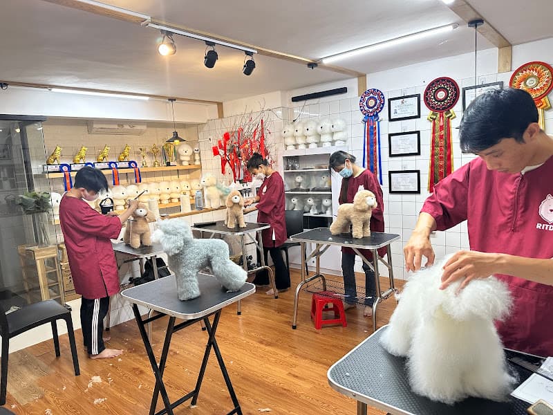 Hình ảnh RITDO PET SPA & GROOMING ACADEMY - 2