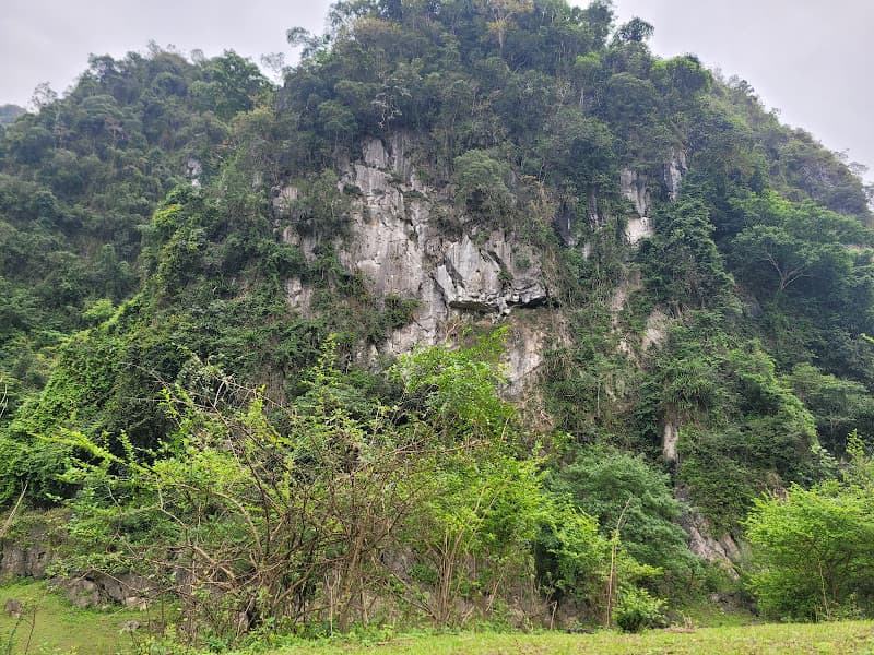 Hình ảnh Thảo nguyên Đồng Lâm - 2