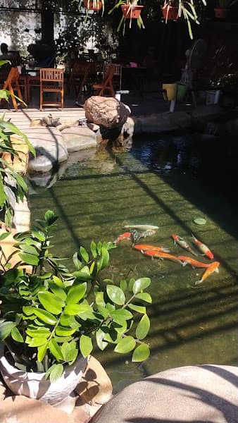 Hình ảnh SƠN TRÀ QUÁN - 3