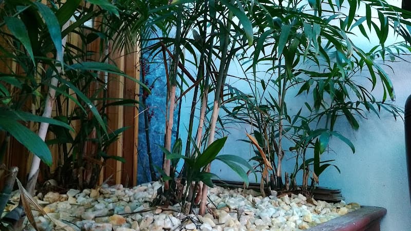 Hình ảnh Phở Cười - 6