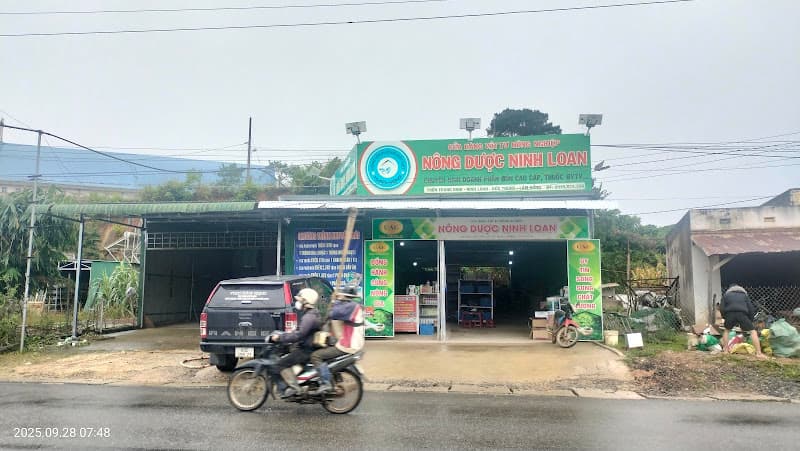 Hình ảnh Hải Sản Tôm Búng - 3