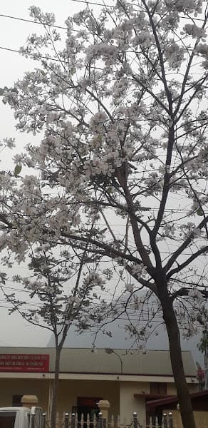 Hình ảnh Karaoke Alibaba - 2