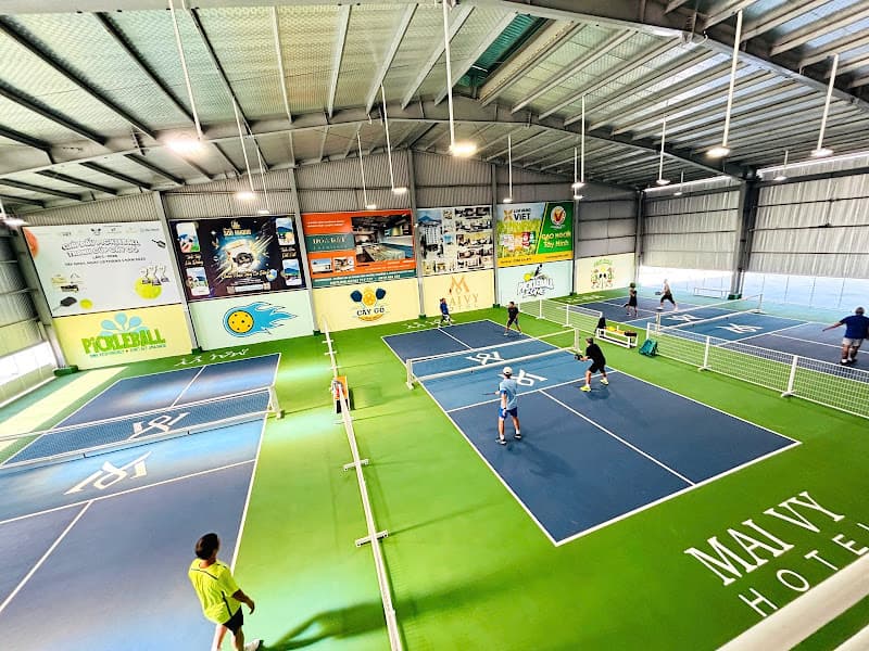 Hình ảnh Cây Gõ Pickleball - 3