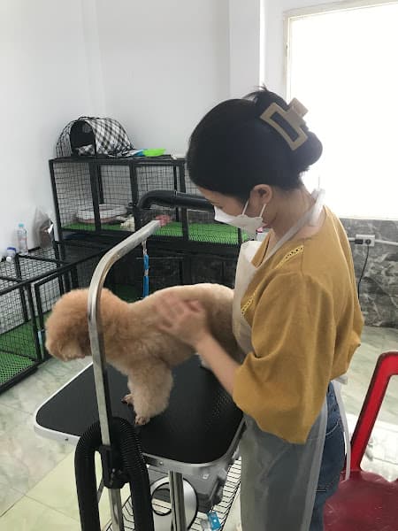 Hình ảnh Nếp Pet Bmt - 3