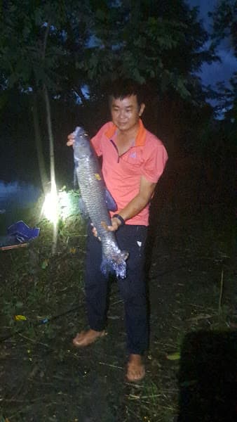 Ảnh bìa Quán cà phê hồ câu hẻm 06 Nguyễn Thị Định phường thành nhất. Bmt