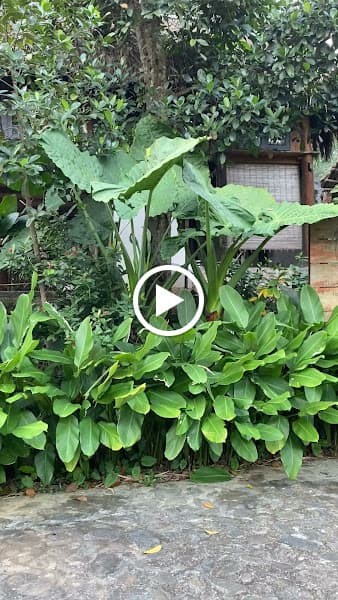 Hình ảnh Hoàng Nông Farm - 3