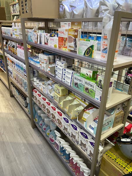 Hình ảnh Boss City Petshop - Siêu Thị Thú Cưng ( Spa &Grooming)- CS2 - 2