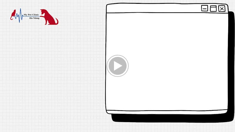 Hình ảnh Bệnh viện thú y 24h Đà Nẵng My Pet's Animal Hospital - 4