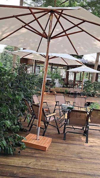 Ảnh bìa Trang Trại Aeroco Coffee