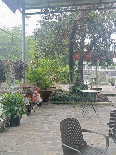 Hình ảnh Cà phê sinh thái Thảo Nguyên - 2