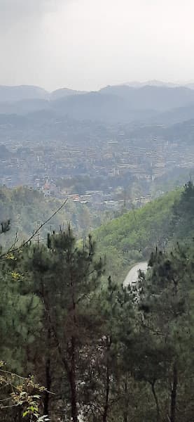 Hình ảnh Di tích Hoàng Đình Giong - 3