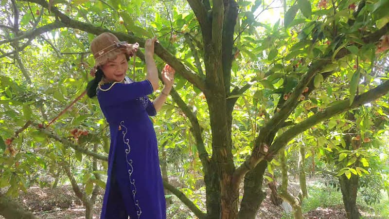 Hình ảnh Vườn Trái cây Bi Bo - 2