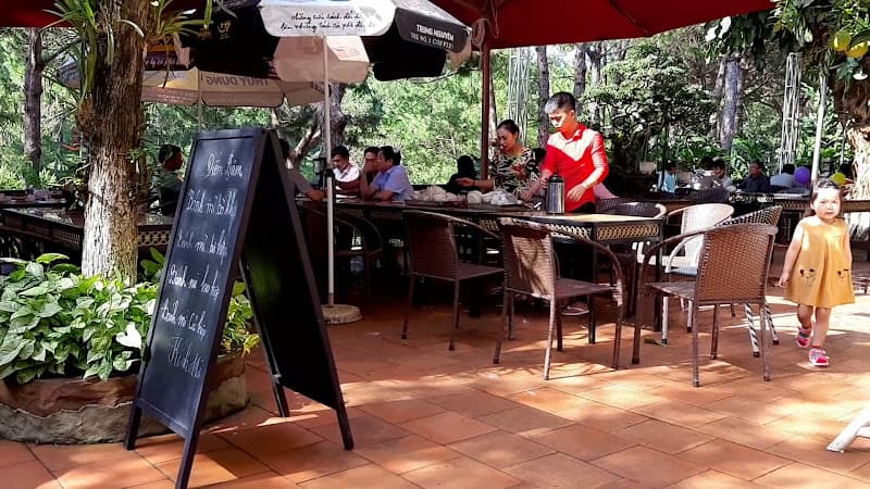 Hình ảnh Trà Cung Đình - 5