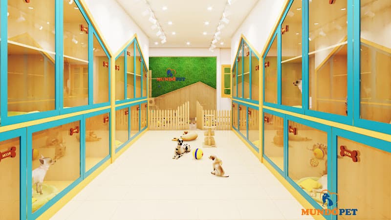Hình ảnh MundoPet 266TôHiệu - 7
