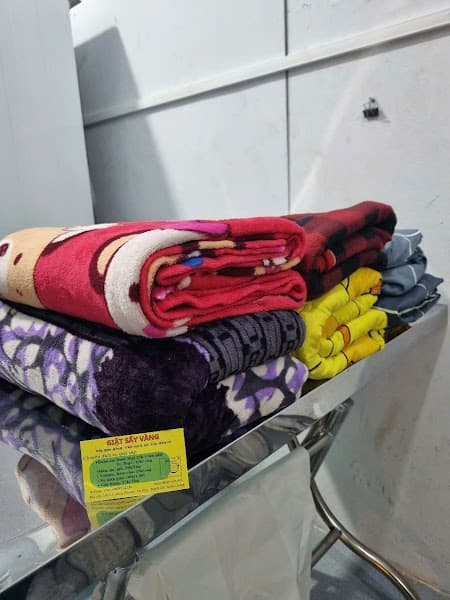 Hình ảnh GIẶT SẤY VÀNG - 4