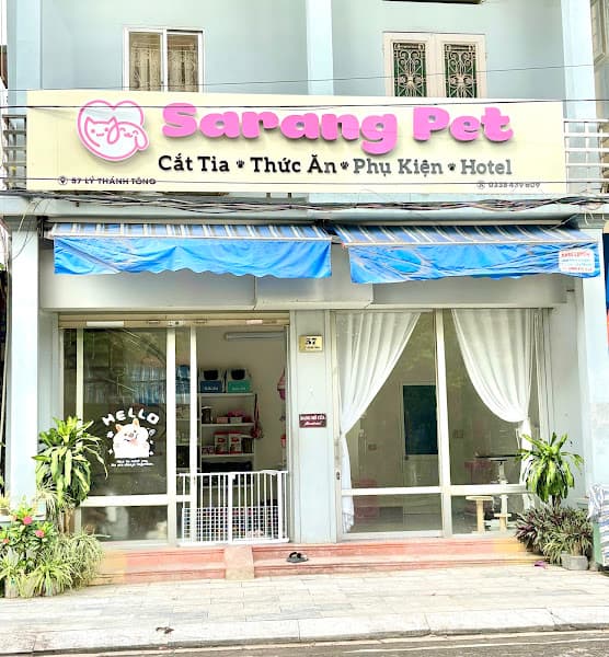 Hình ảnh Cắt Tỉa Lông Chó Mèo - SARANG PET Grooming Salon - 4