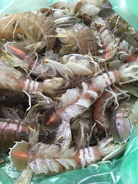 Hình ảnh Nhà Hàng Hải Sản Sộp Béo - 5