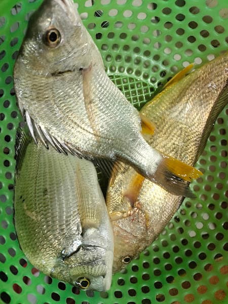 Hình ảnh Nhà hàng Tùng Oanh - 4