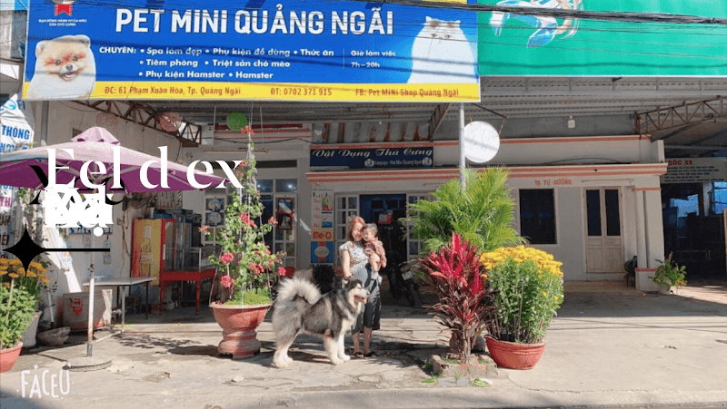 Hình ảnh Pet mini shop quảng ngãi - 5