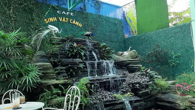 Hình ảnh Cà phê Sinh vật cảnh Bình Khánh - 5
