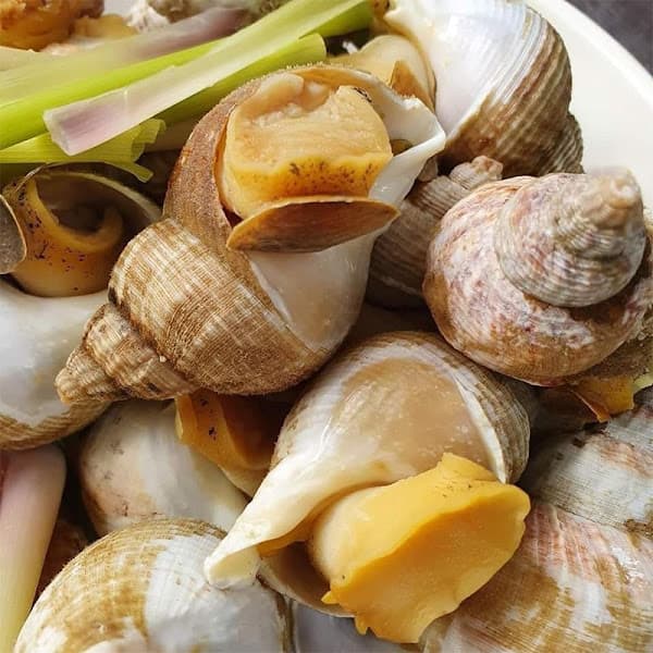Hình ảnh Hải sản tươi sống -Thanh Hoài Quán - 3