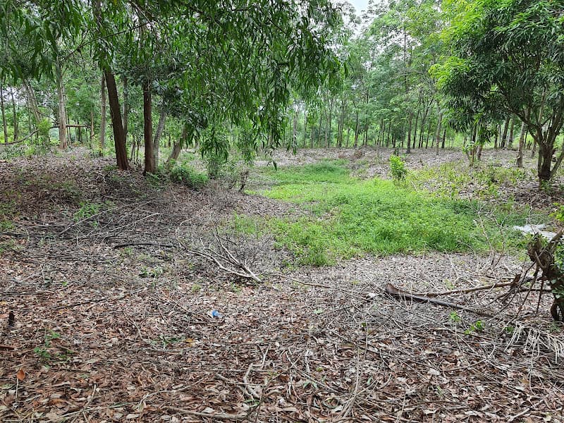 Hình ảnh Di tích Chiến thắng Tua Hai - 3