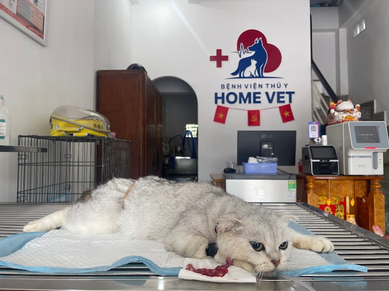 Ảnh bìa Bệnh viện Thú y Home Vet Nha Trang - Cấp cứu 24/7