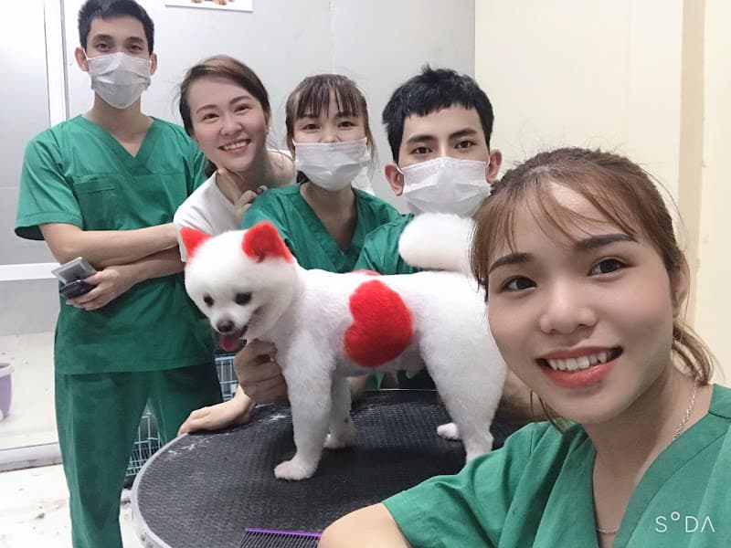 Hình ảnh SAOvet Hải Phòng - 5