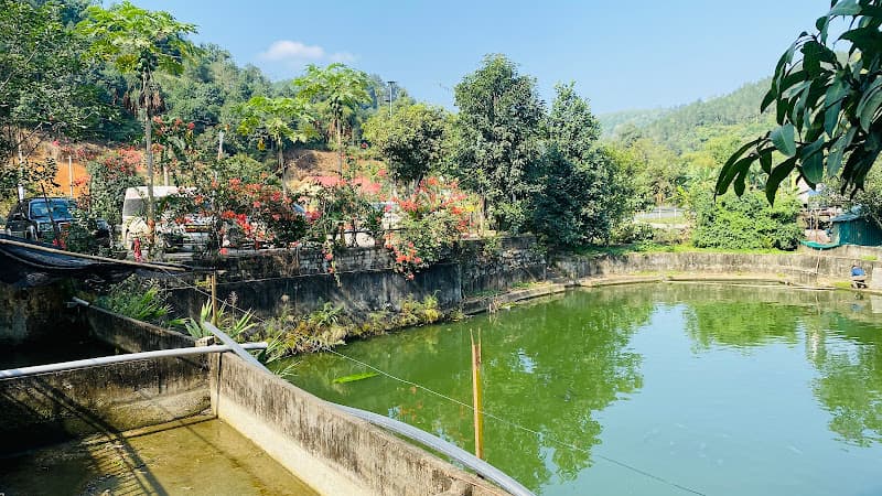 Hình ảnh Quán cơm cây khế - 4