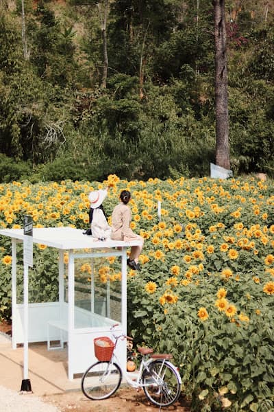 Hình ảnh Dalat Camp - 7